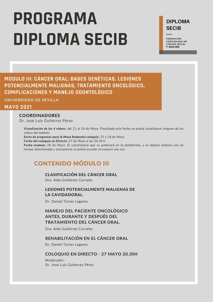 programa diploma secib